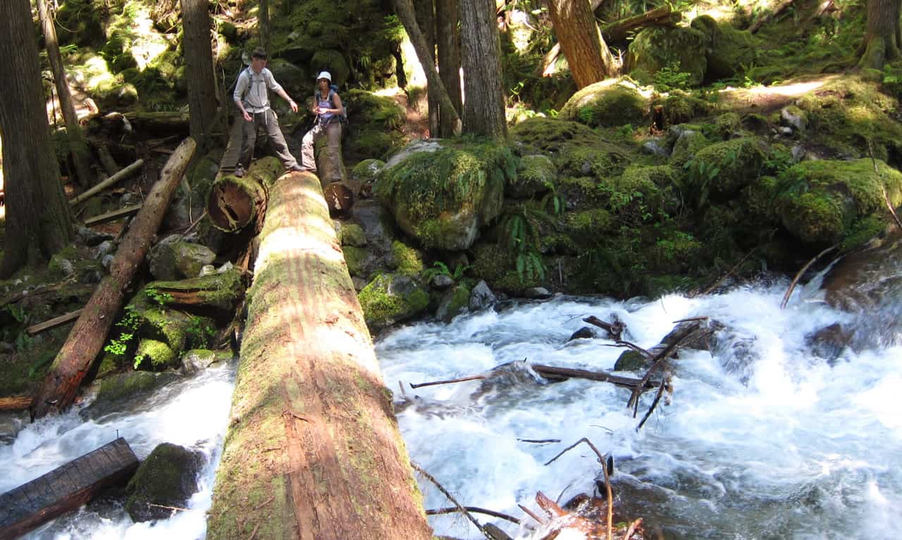 Log crossing