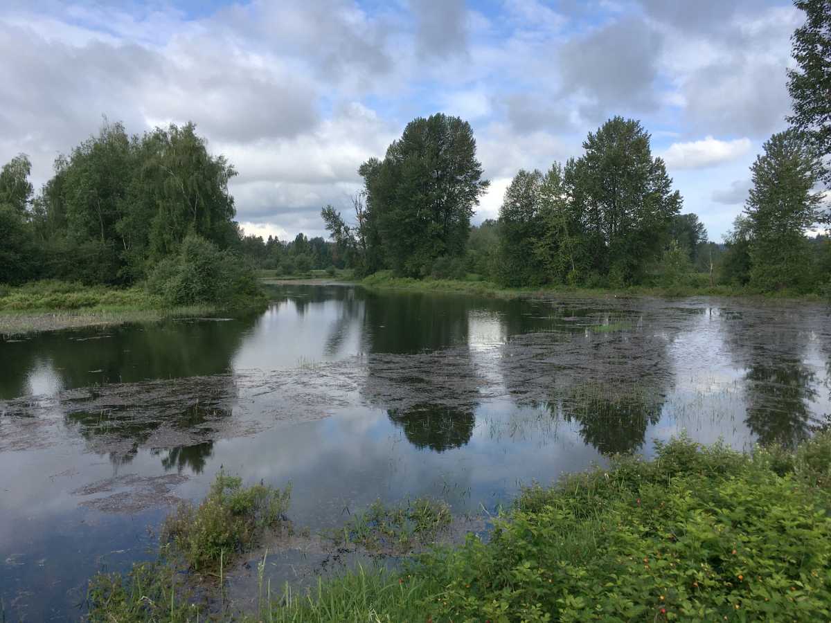 DeBoville Slough