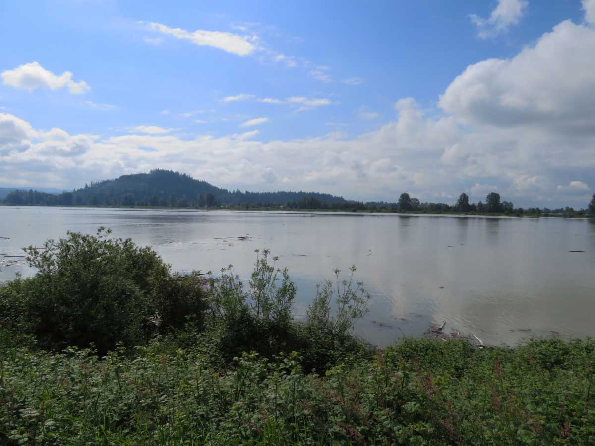 Lower Pitt River