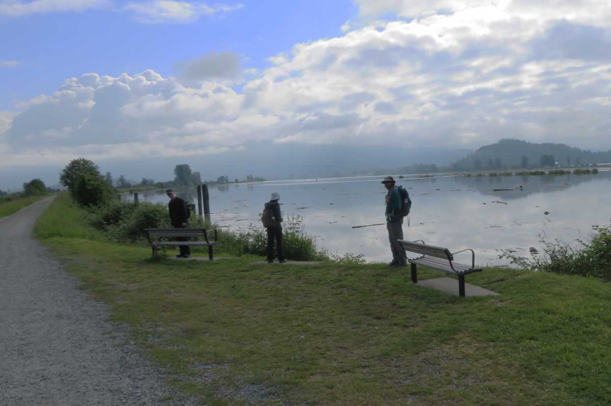 Lower Pitt River