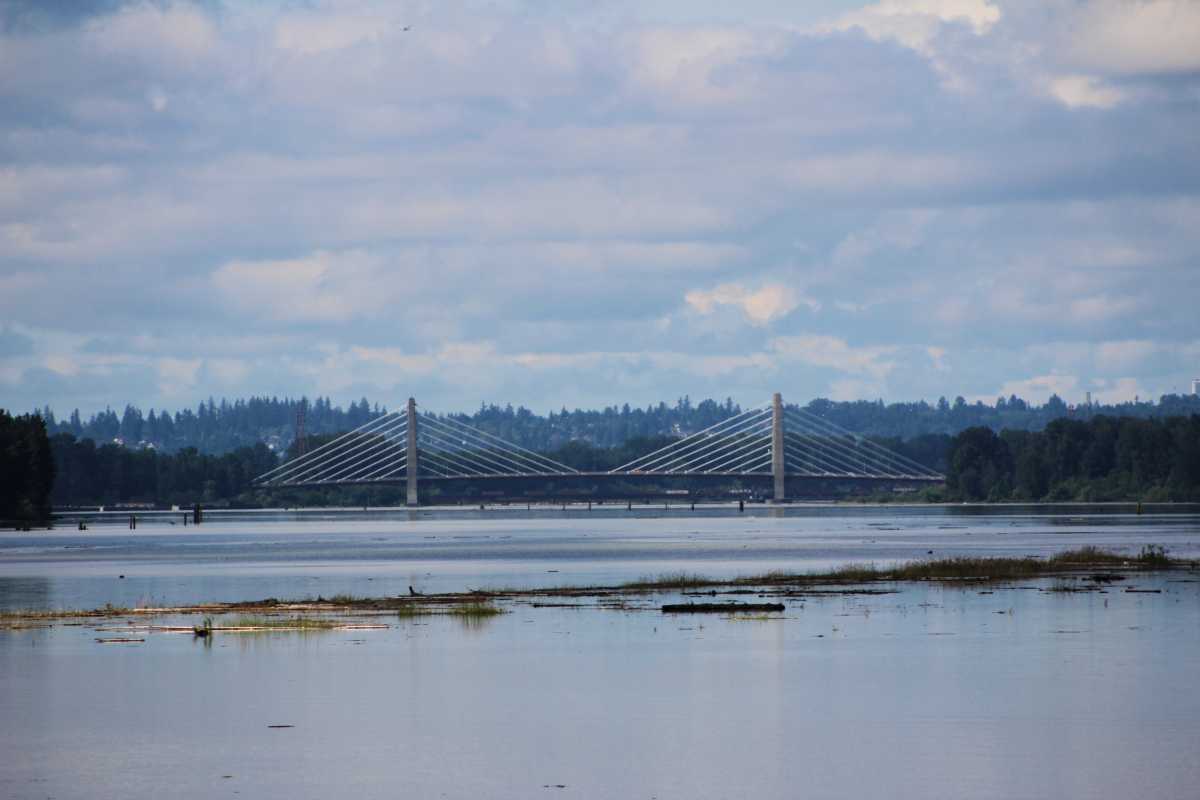 Pitt River Bridge
