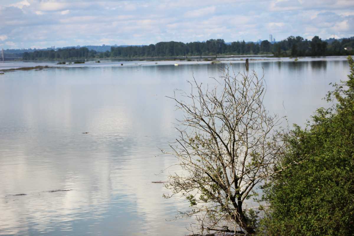 Pitt River
