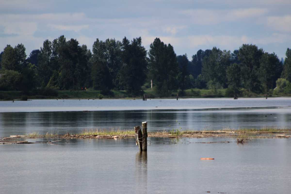 Pitt River