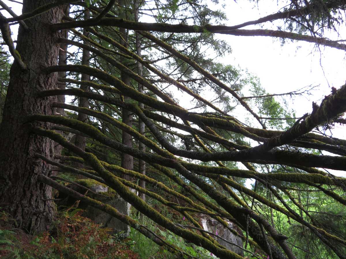 Minnekhada Regional Park