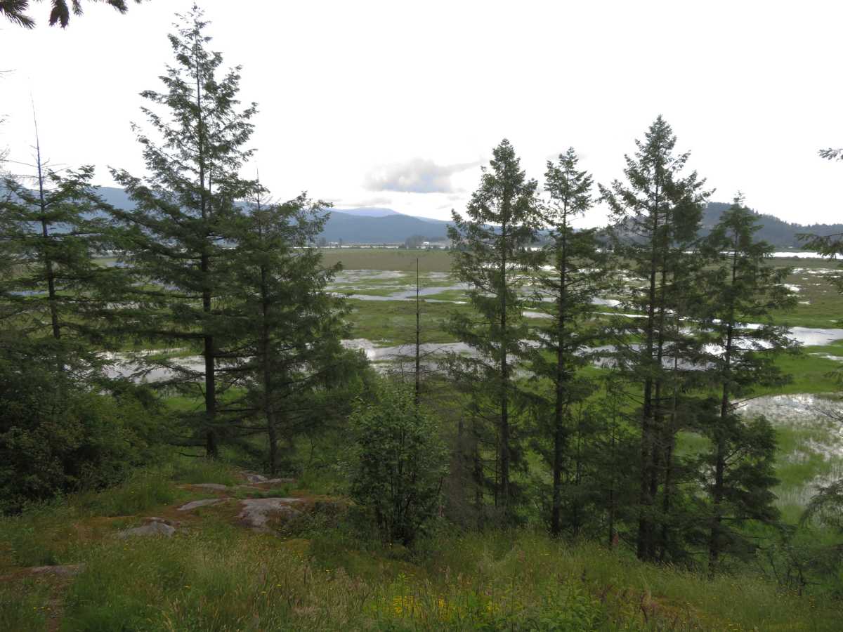 Addington Lookout