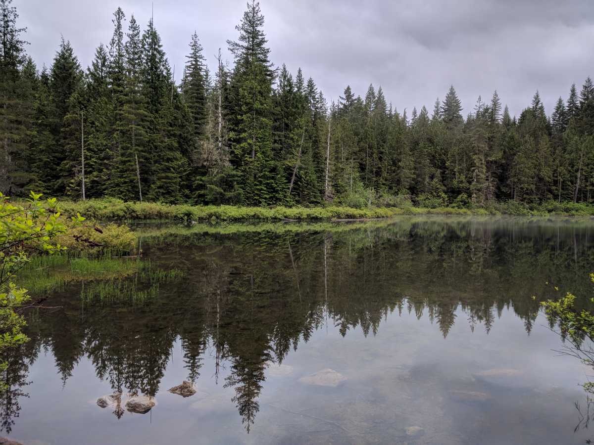 Fawn Lake