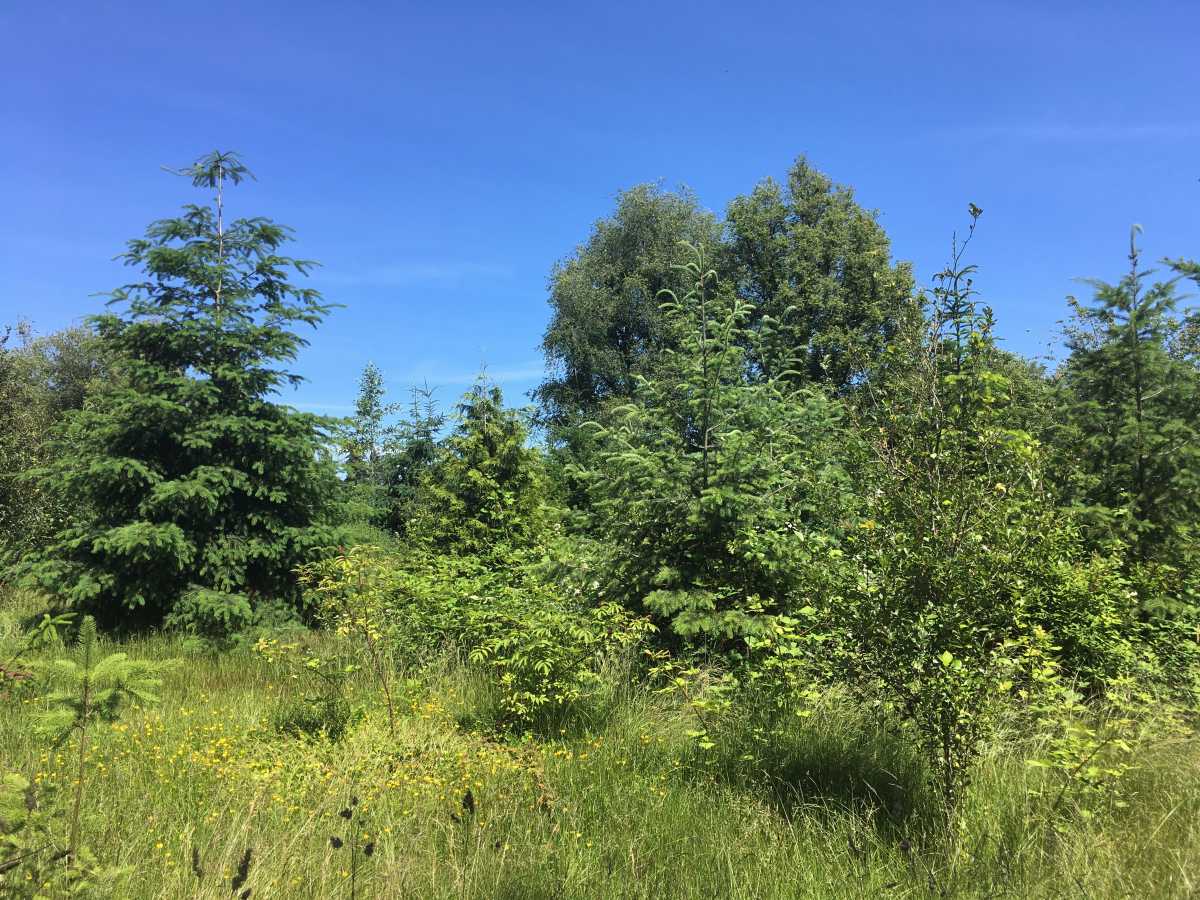 Langara Golf Course