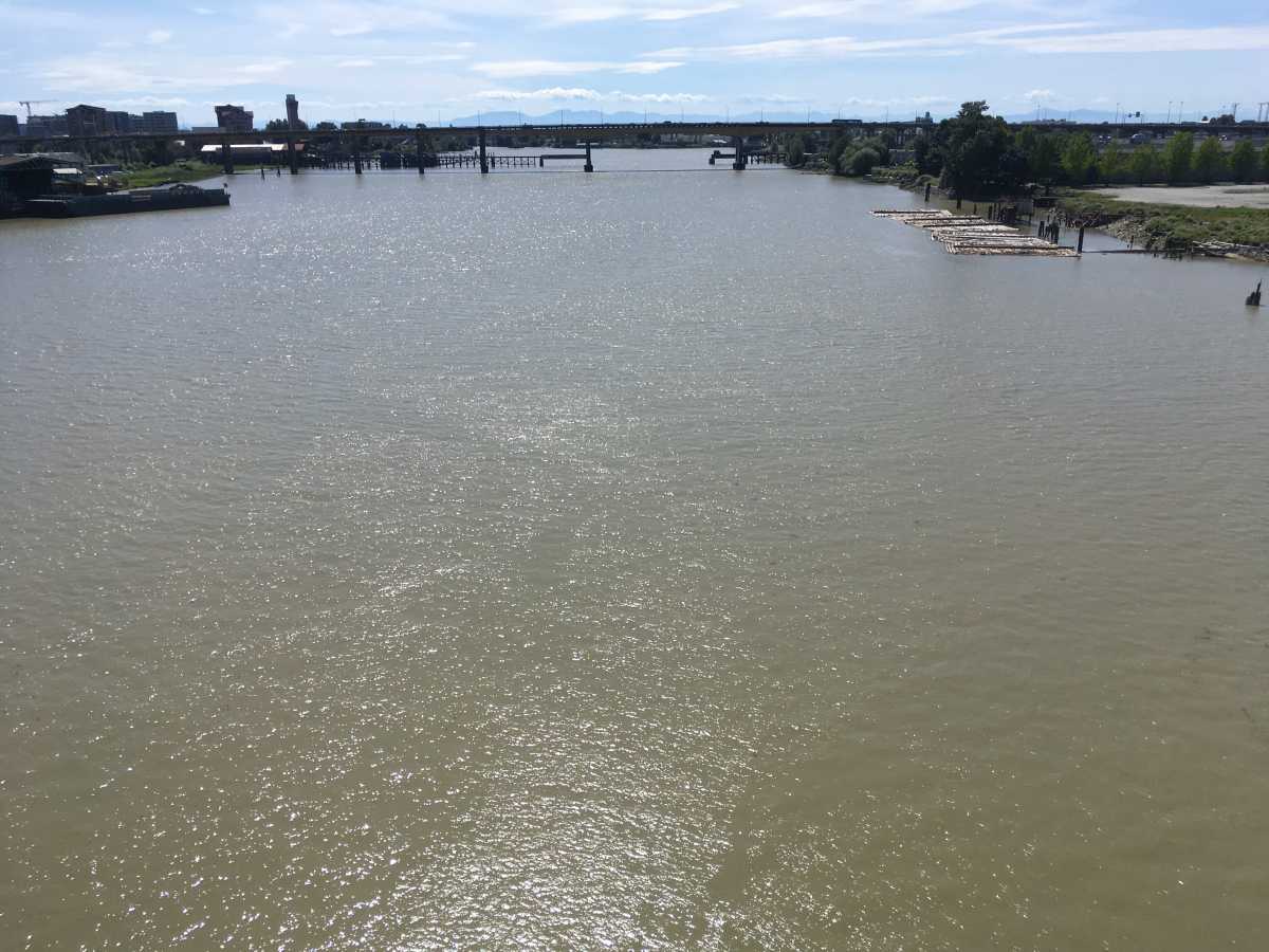 North Arm of the Fraser River