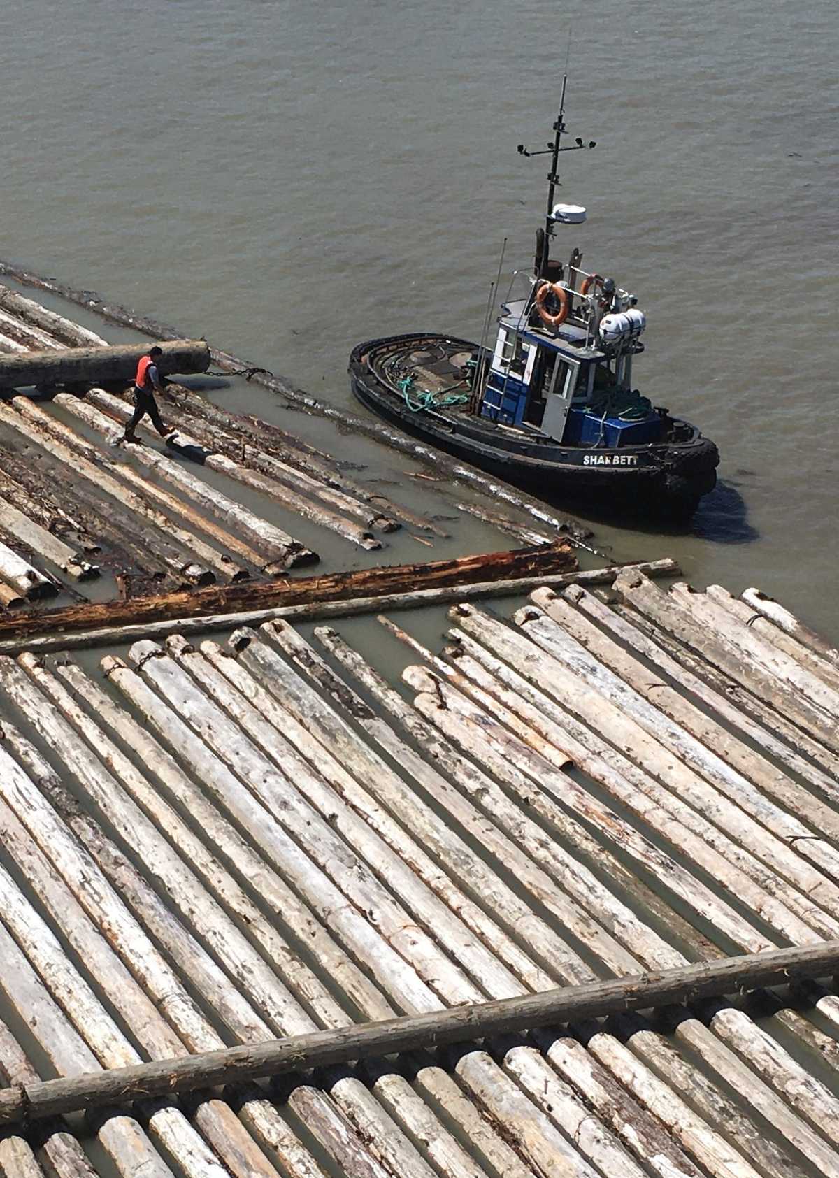 Timber rafting