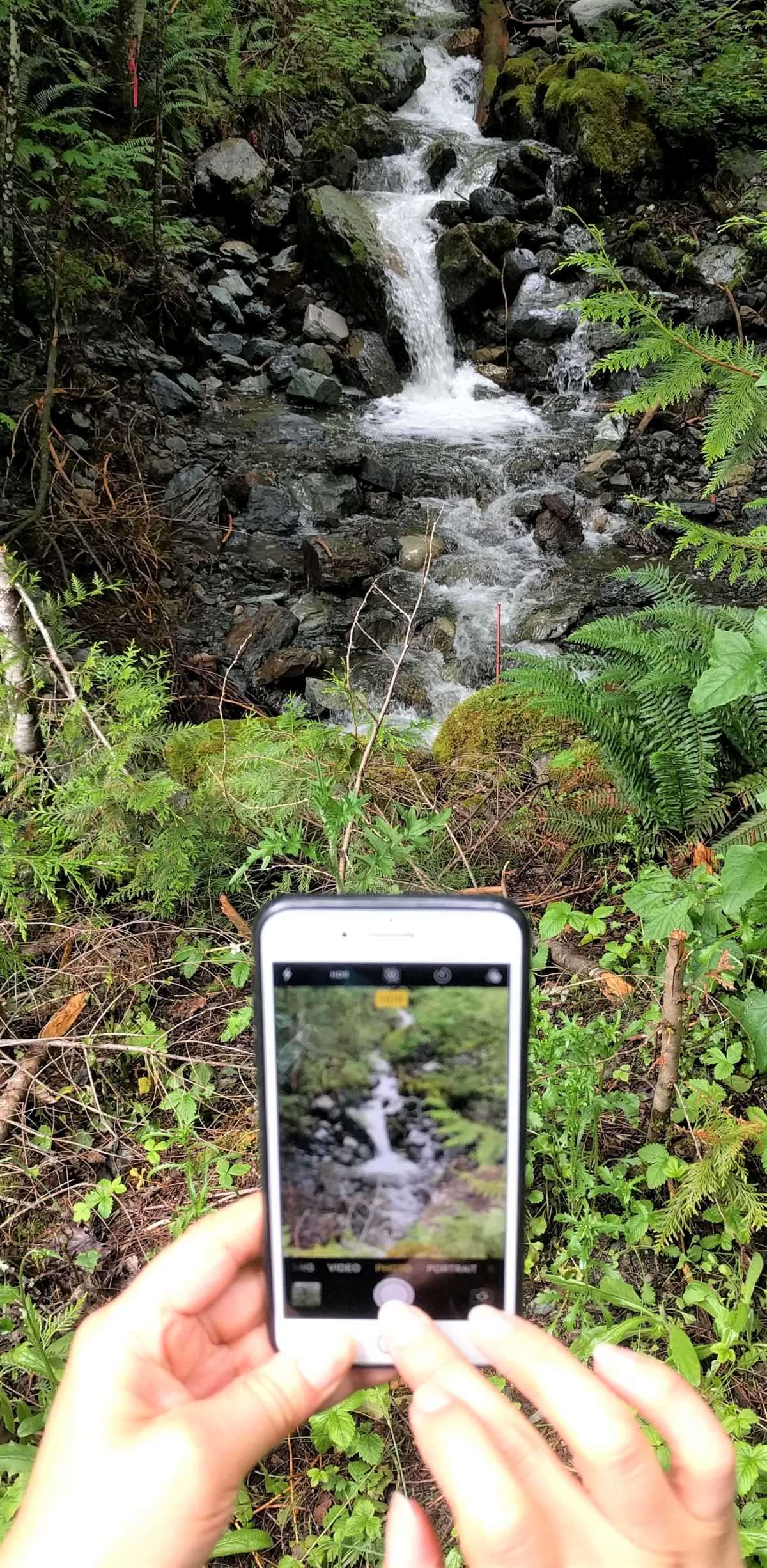 One of many creeks