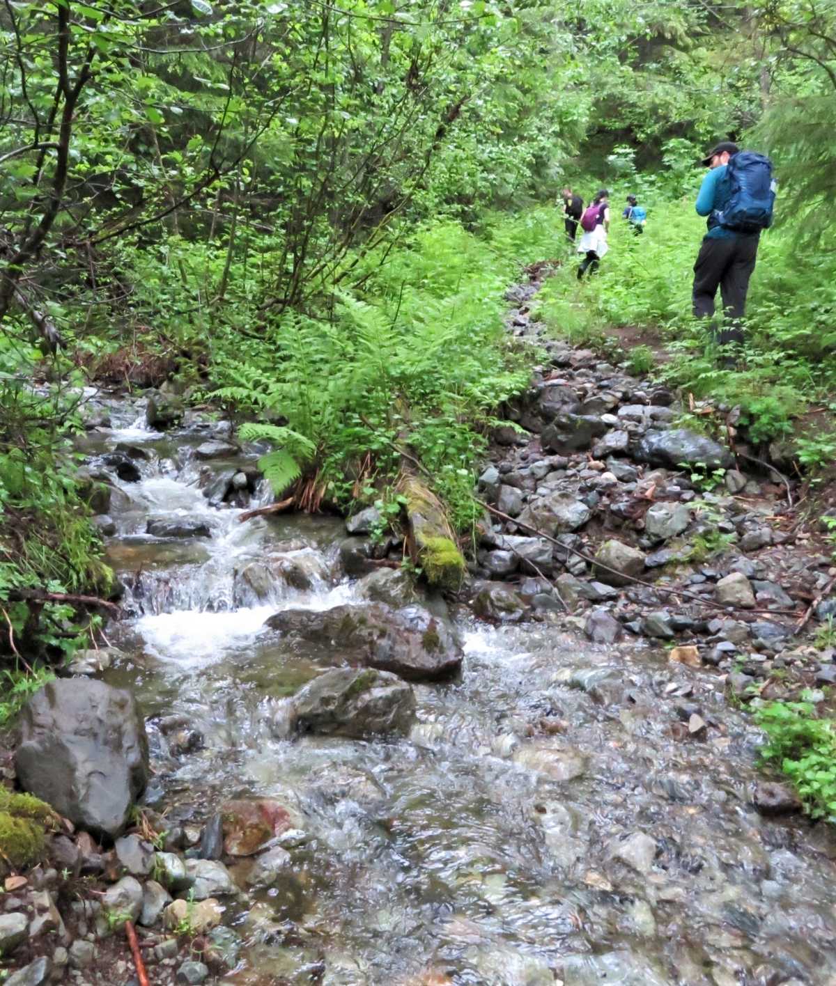 Very few bridges exist on the trail, you need to cross streams and rivers by wading across.