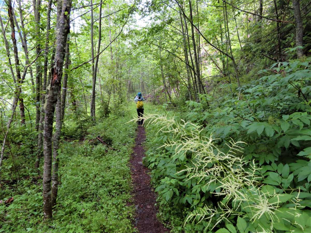 HBC Trail