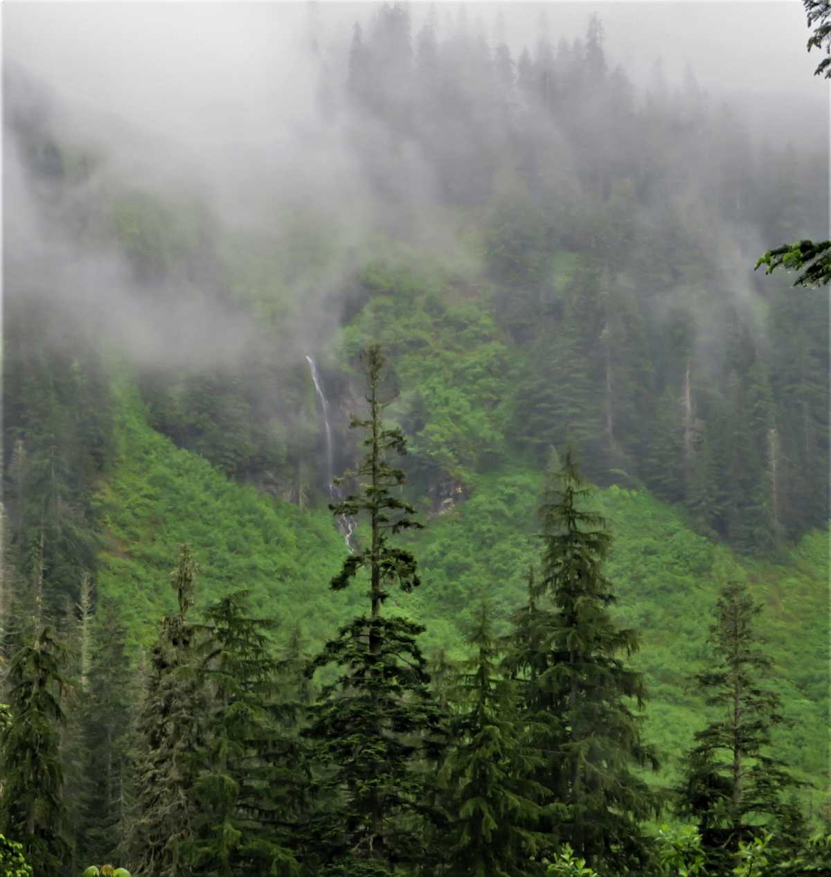 Reaching the camp