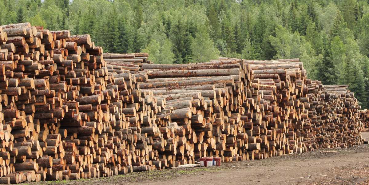 Softwood lumber