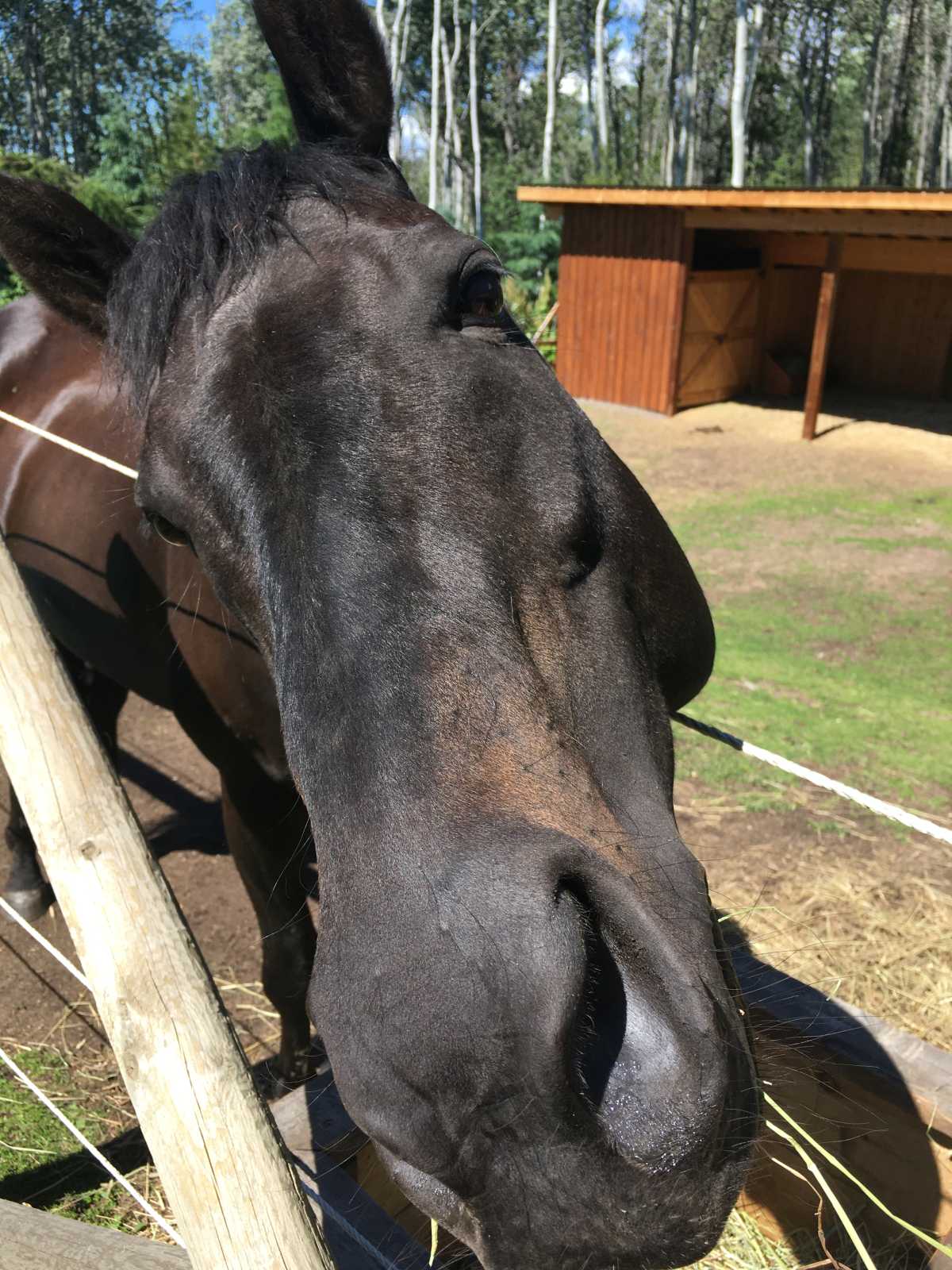 A new friend