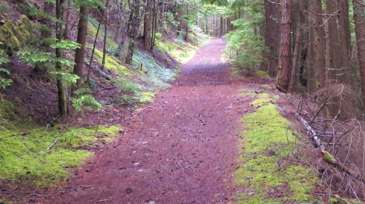 Fire Road