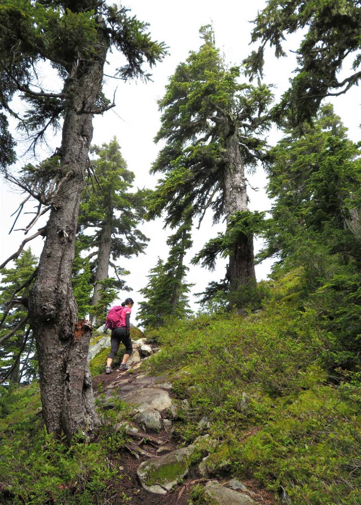 Reaching the ridge