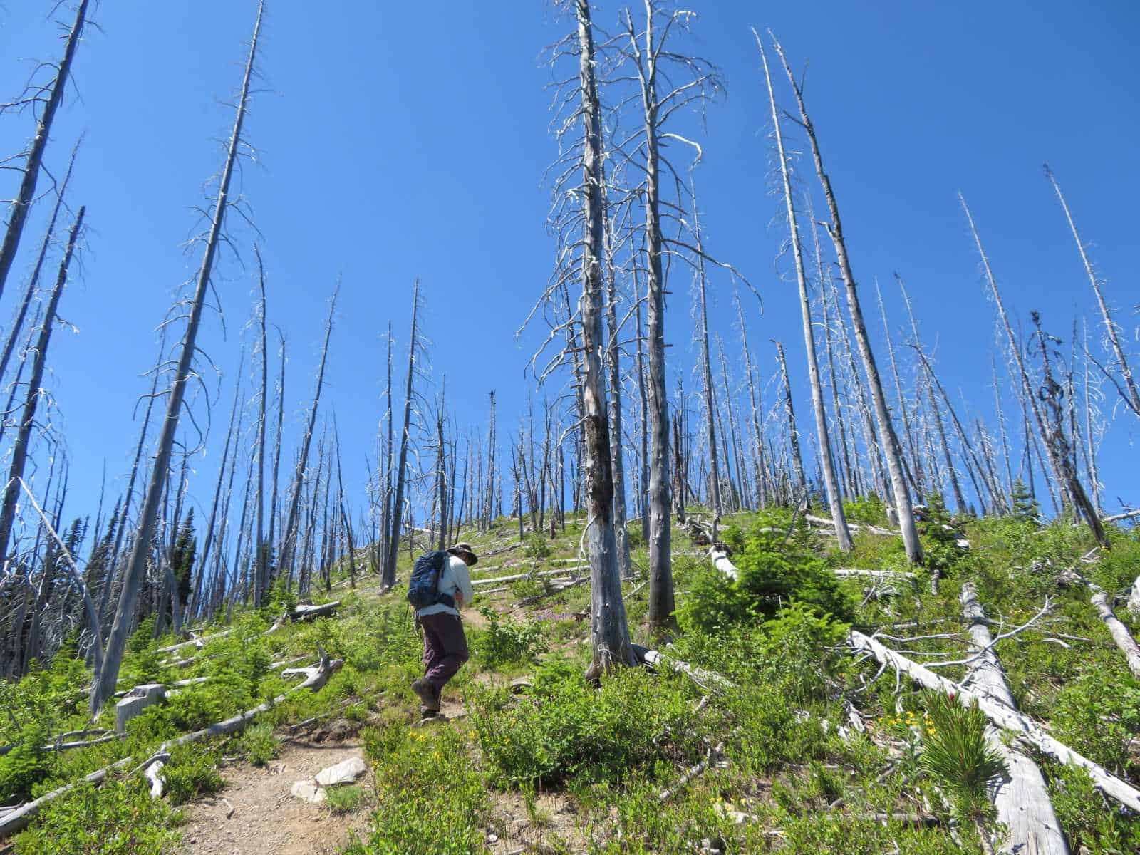 Reaching the ridge
