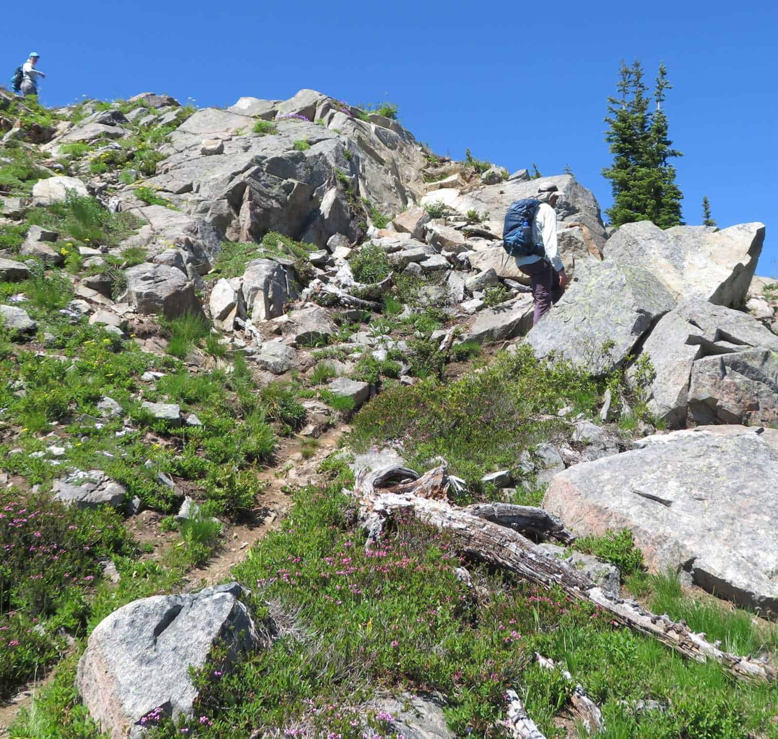 Reaching the ridge