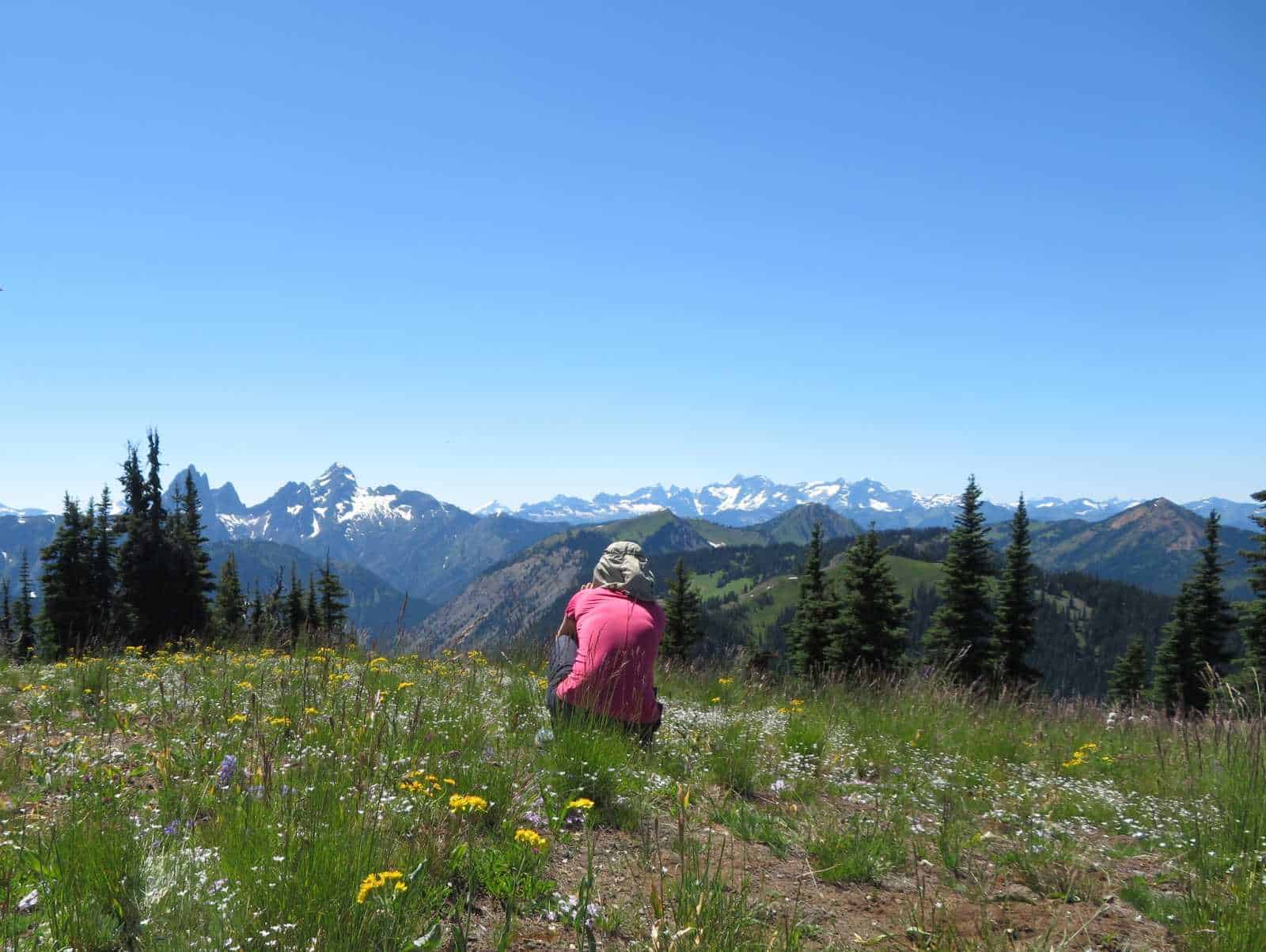 Wildflowers