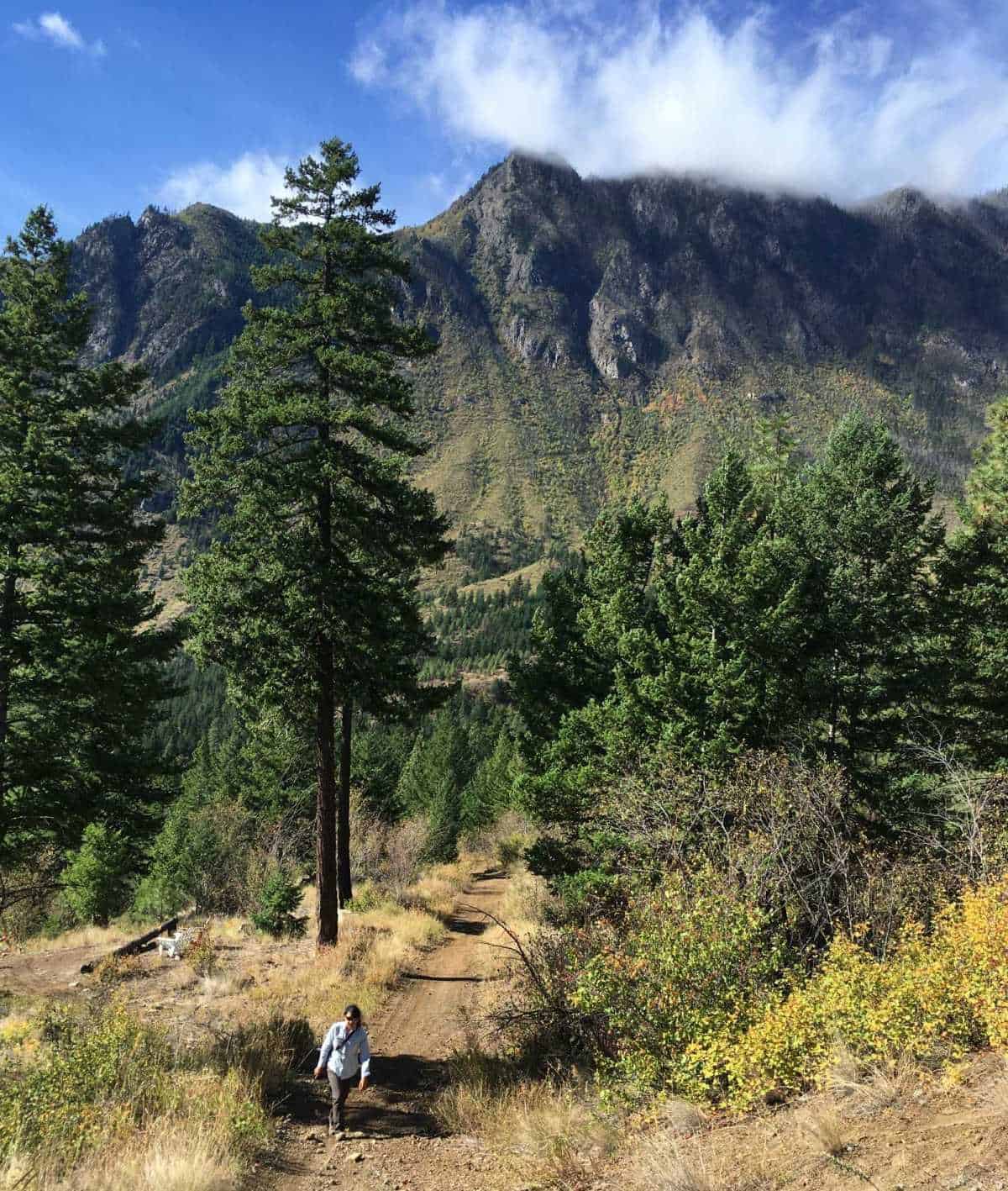 ATV track