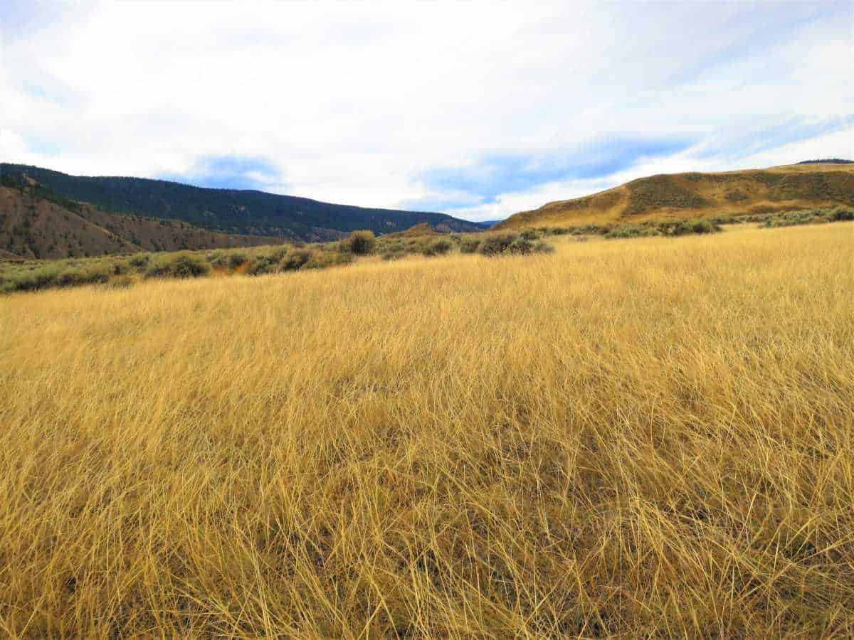 Junction Sheep Range Provincial Park.