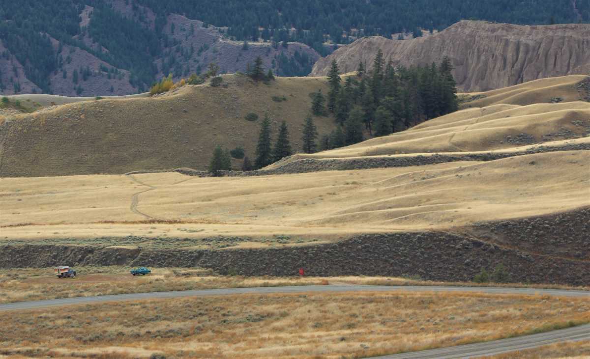 Grasslands