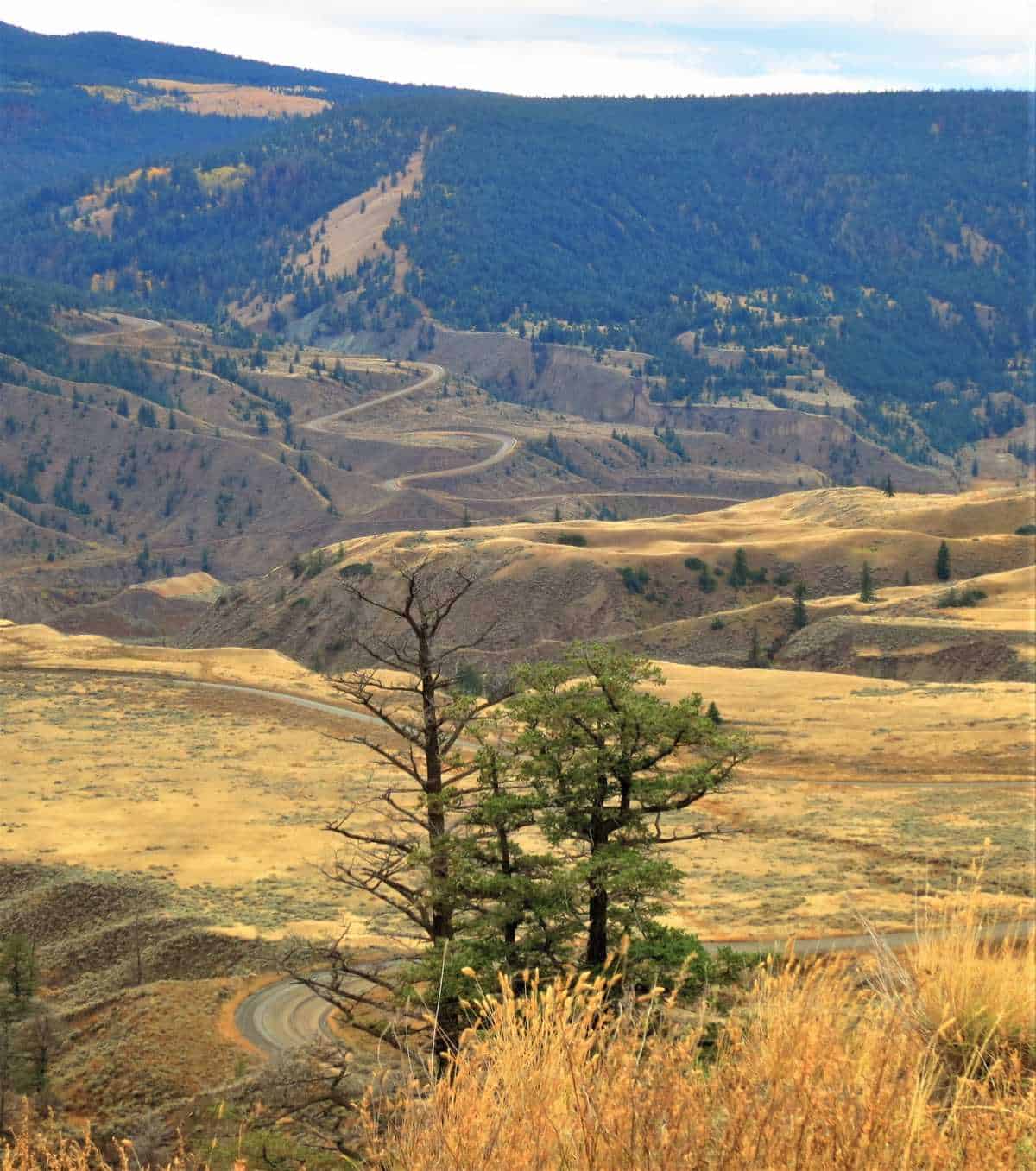 Farwell Canyon Road