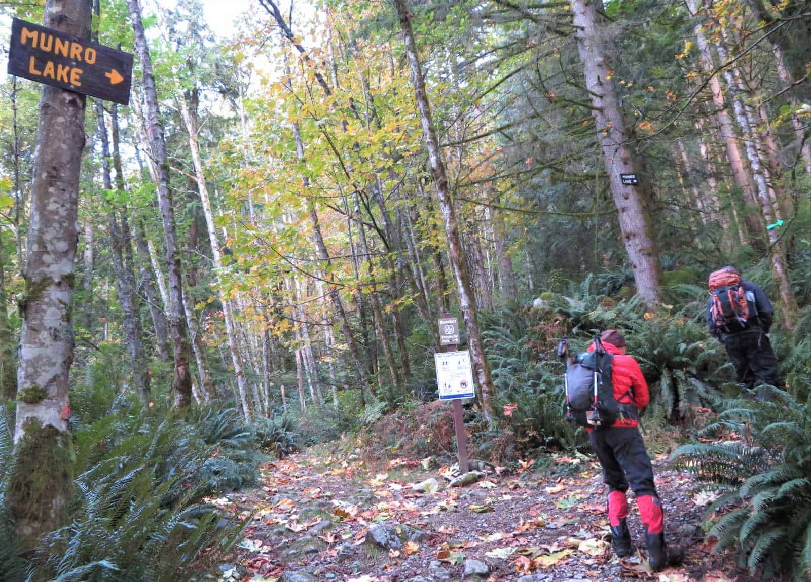 Follow the old logging road uphill for five minutes.