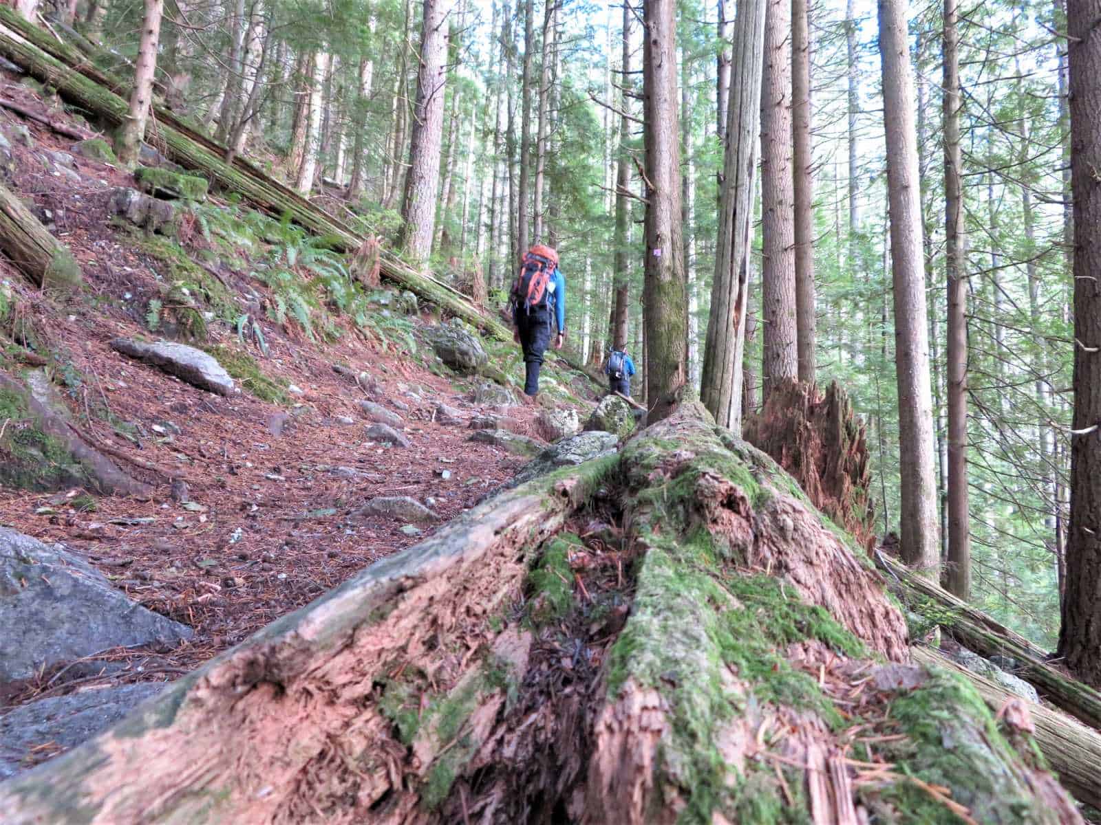 Uphill
