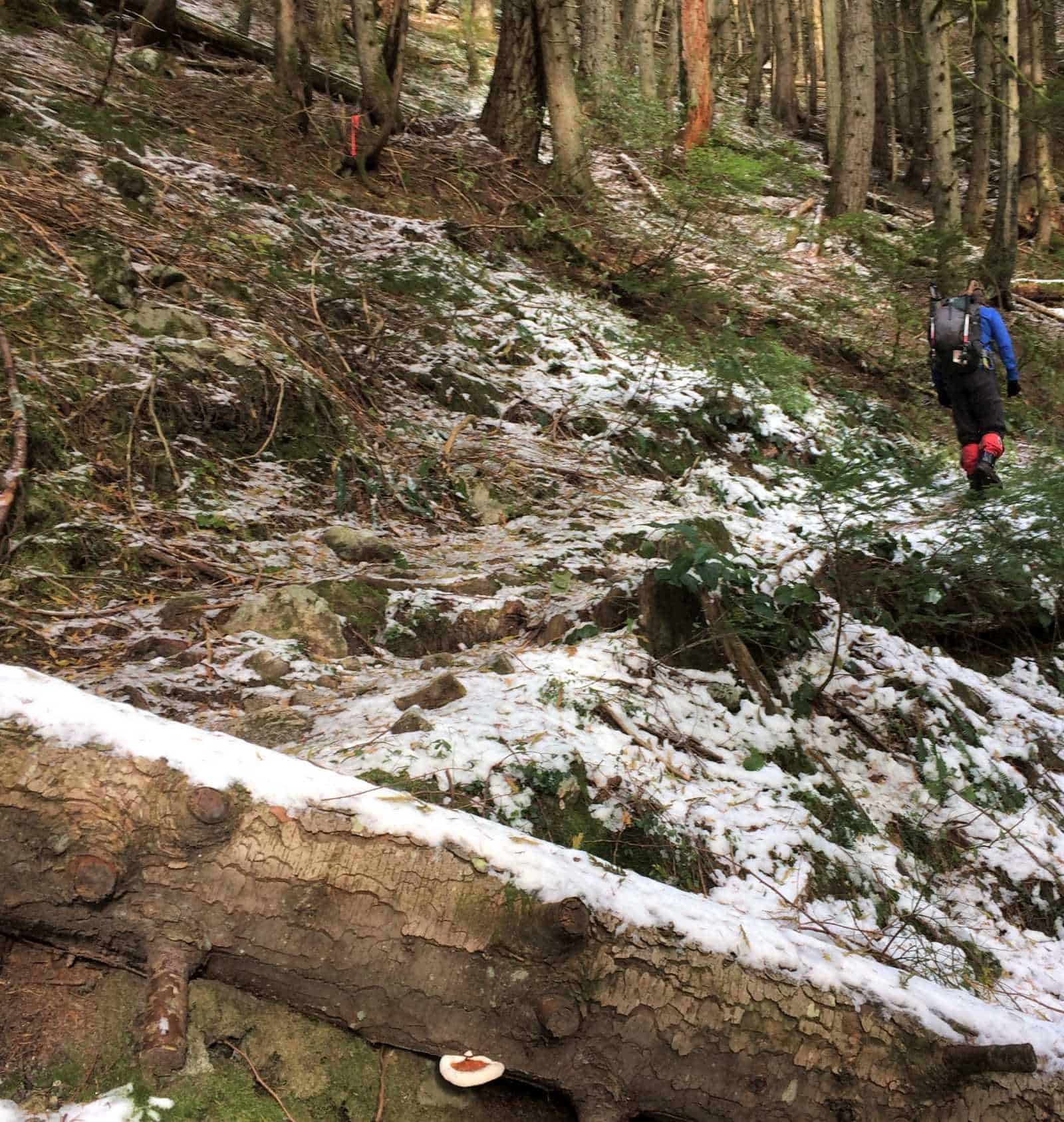 Gullies
