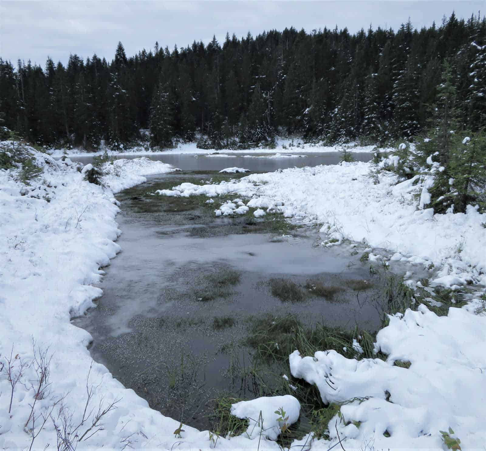 Munro Lake