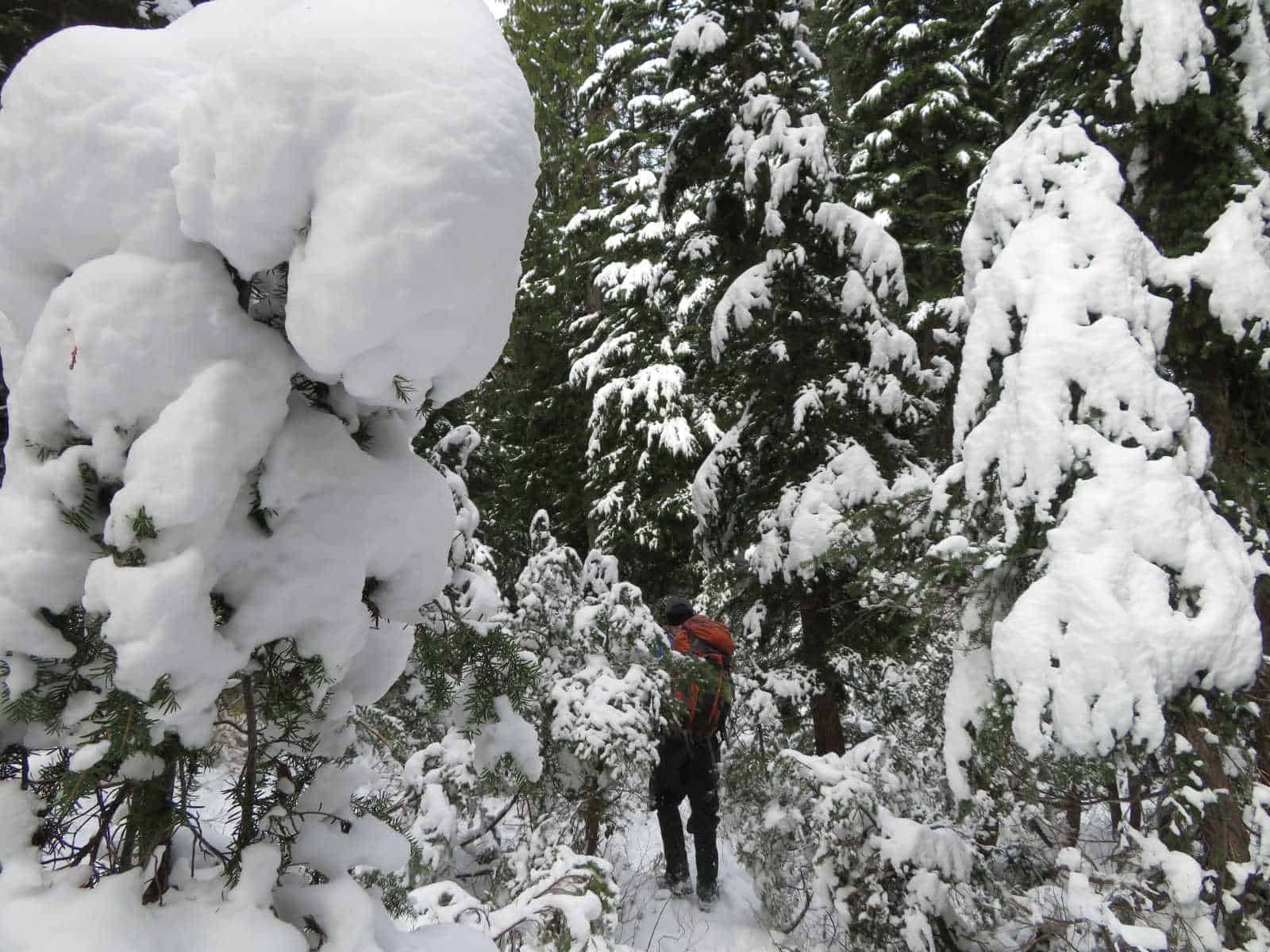 Snow