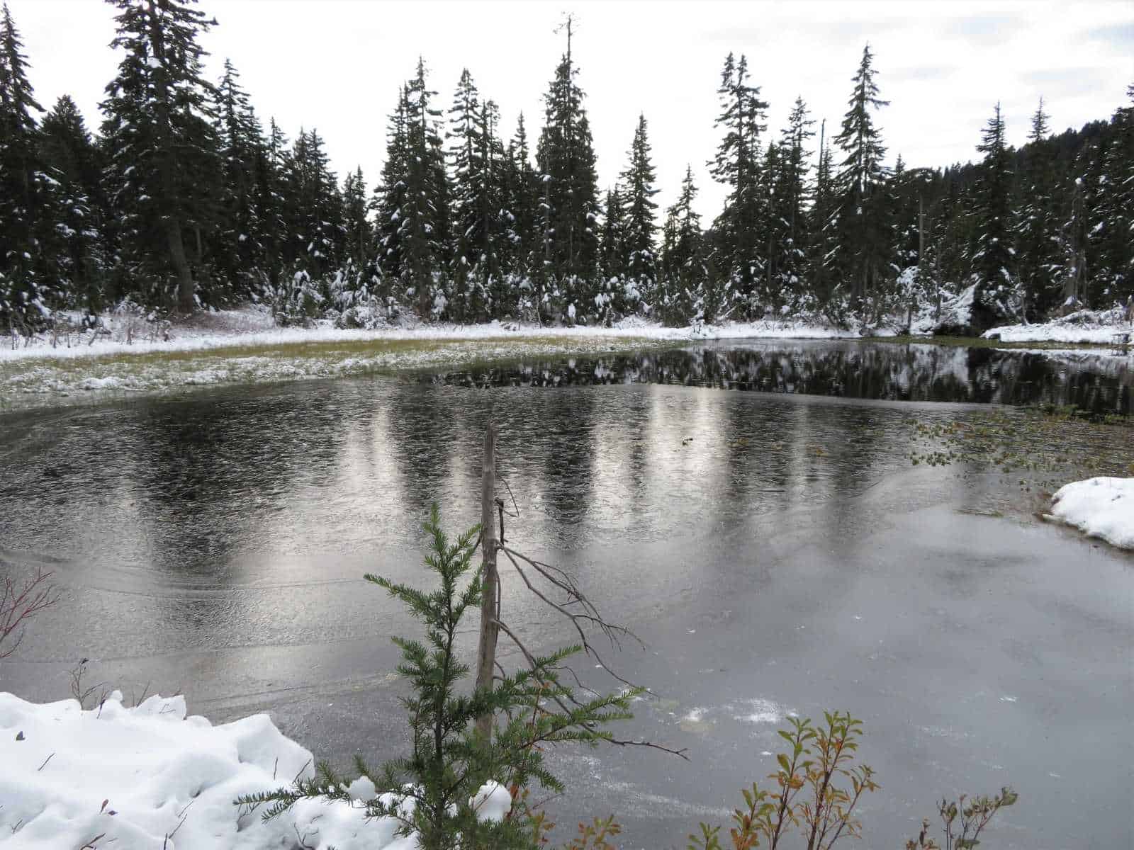 Pond between Munro and Dennett Lake