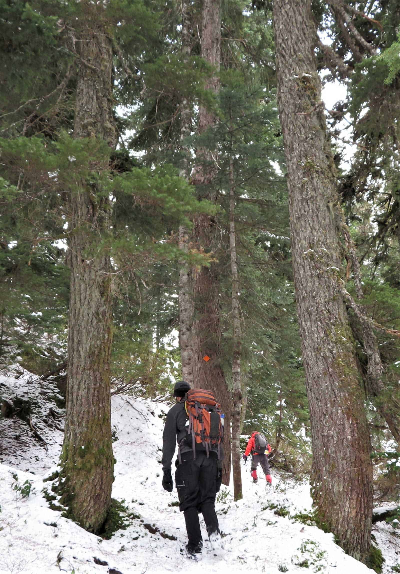 Going to the Viewpoint.