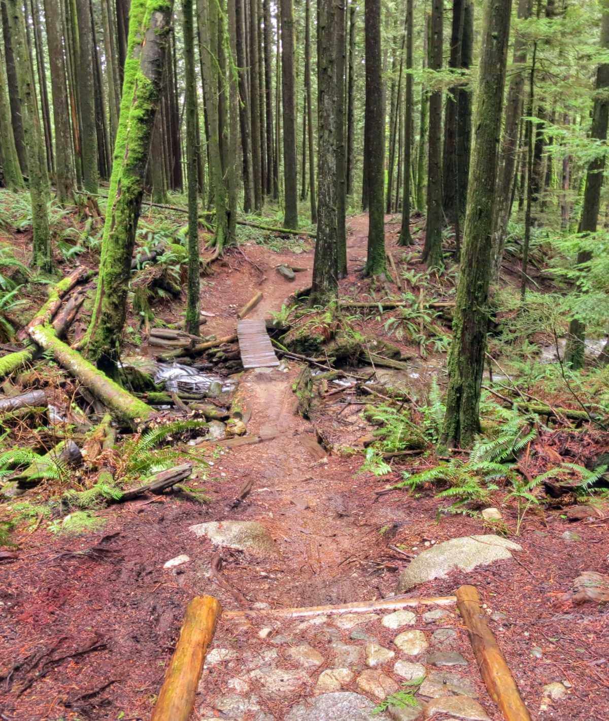 Recycle Mountain Bike Trail