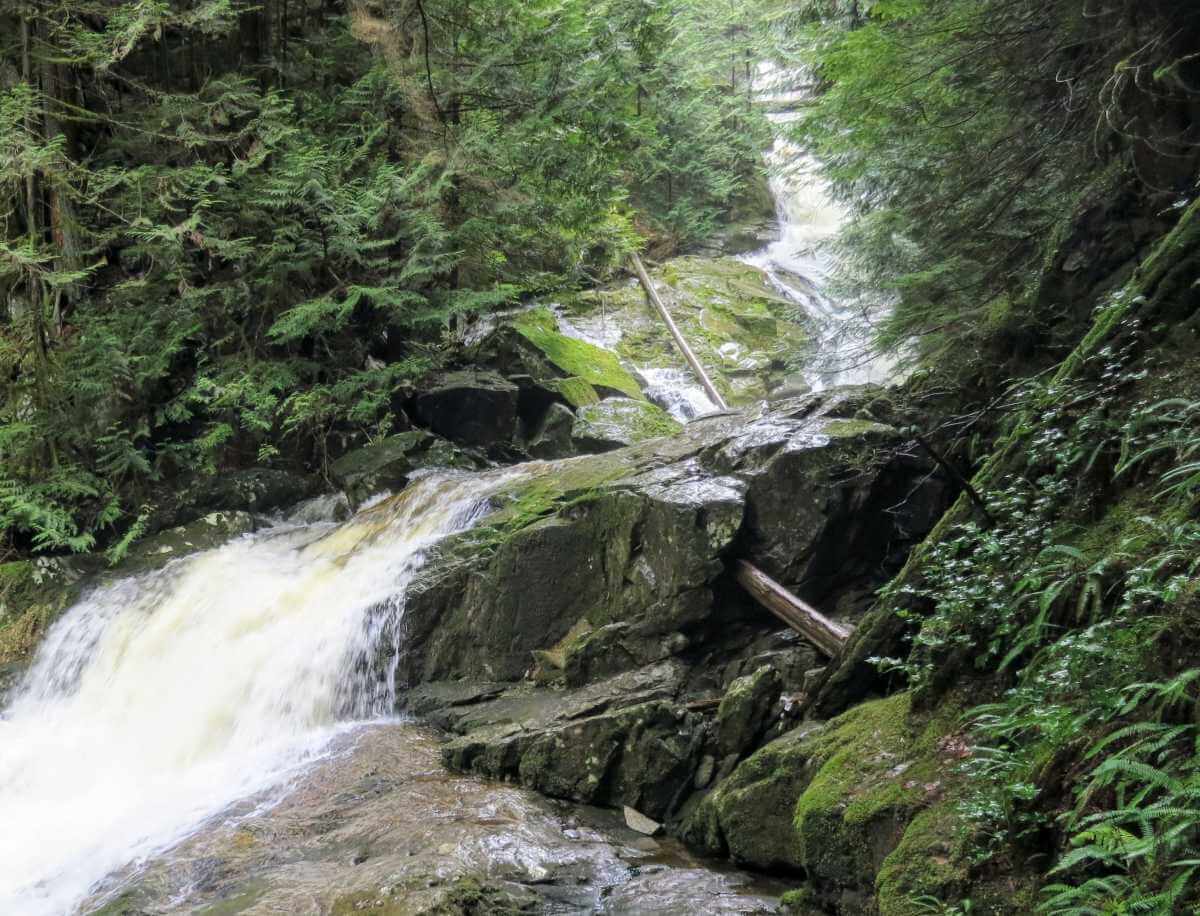 Woodland Falls