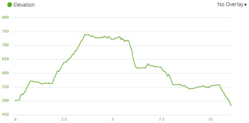 Elevation Profile