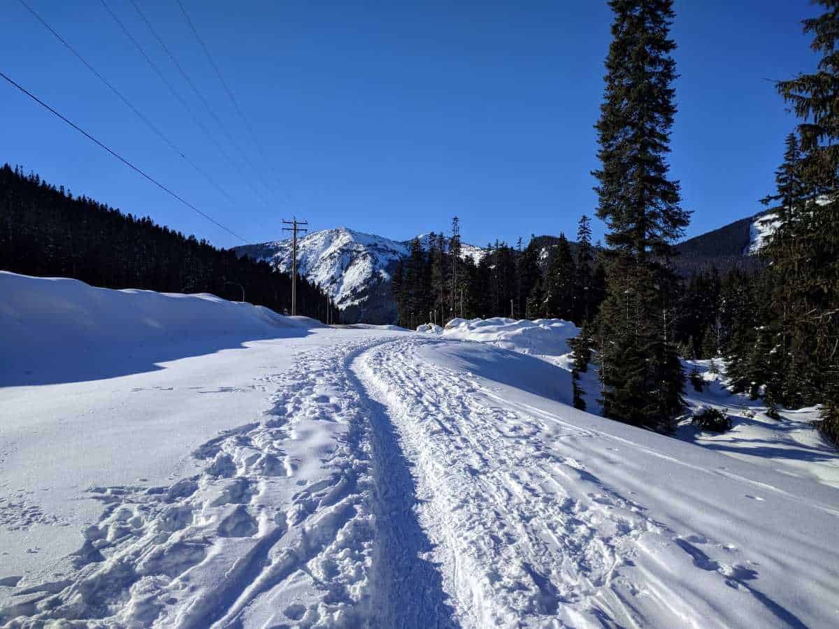 Trail