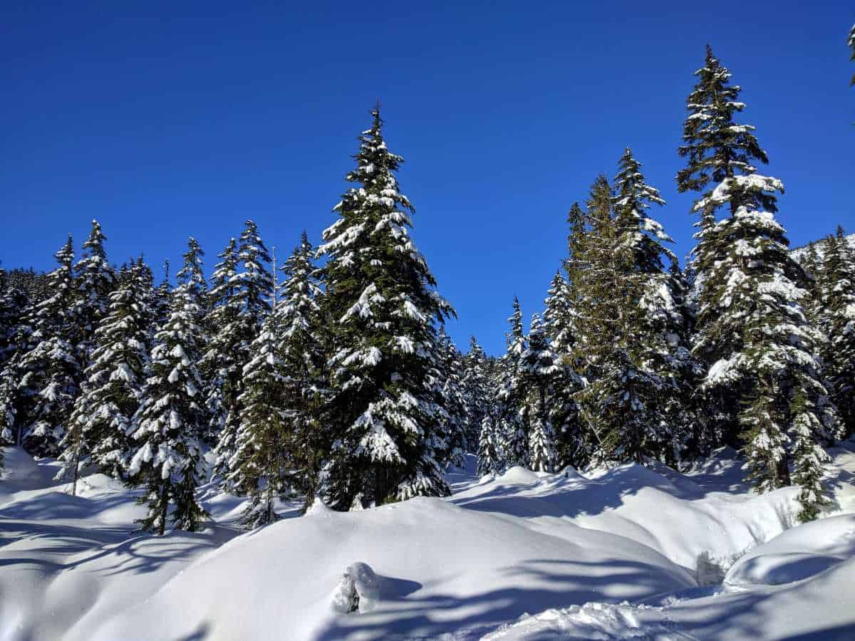 Snow