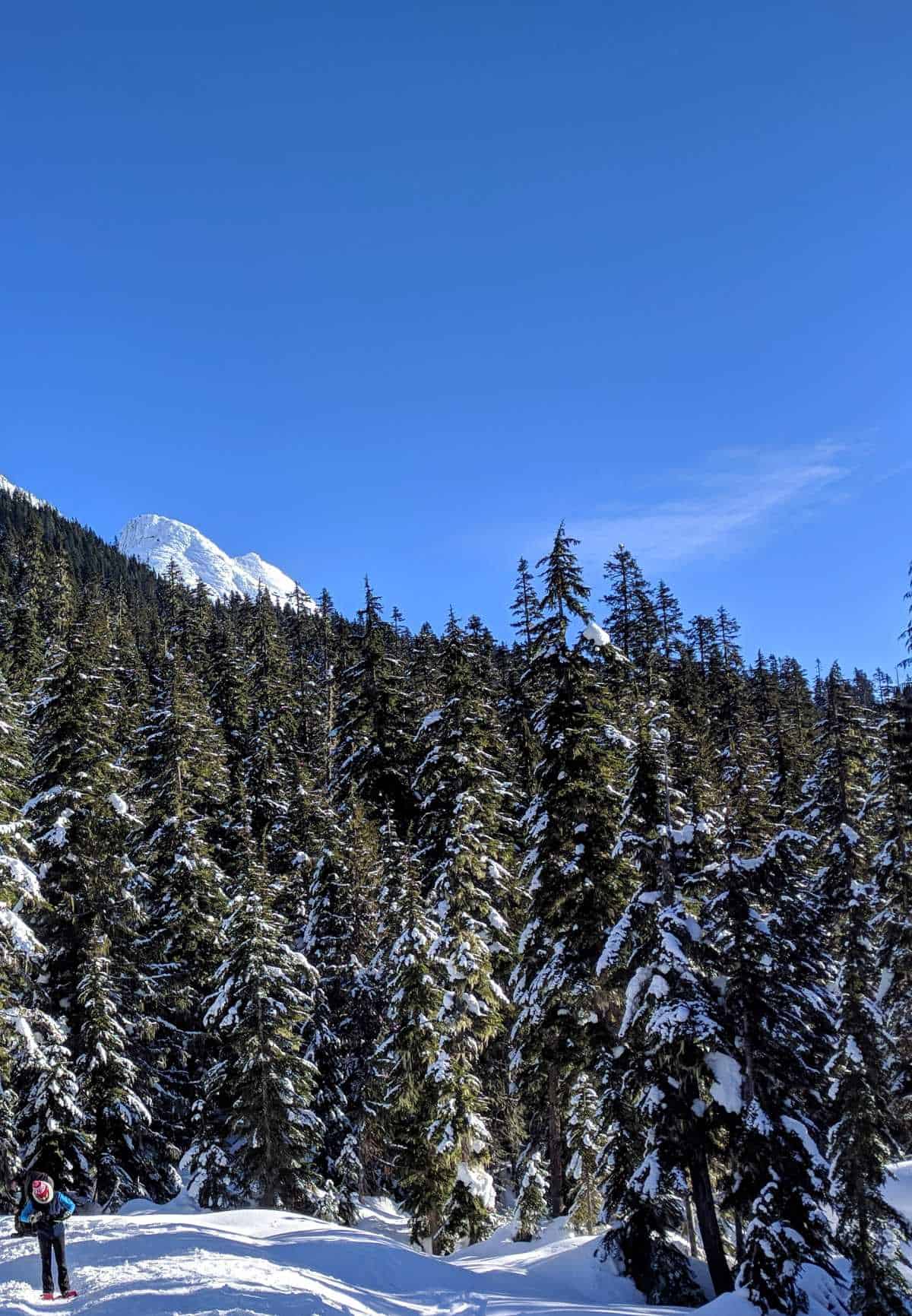 Yak Peak