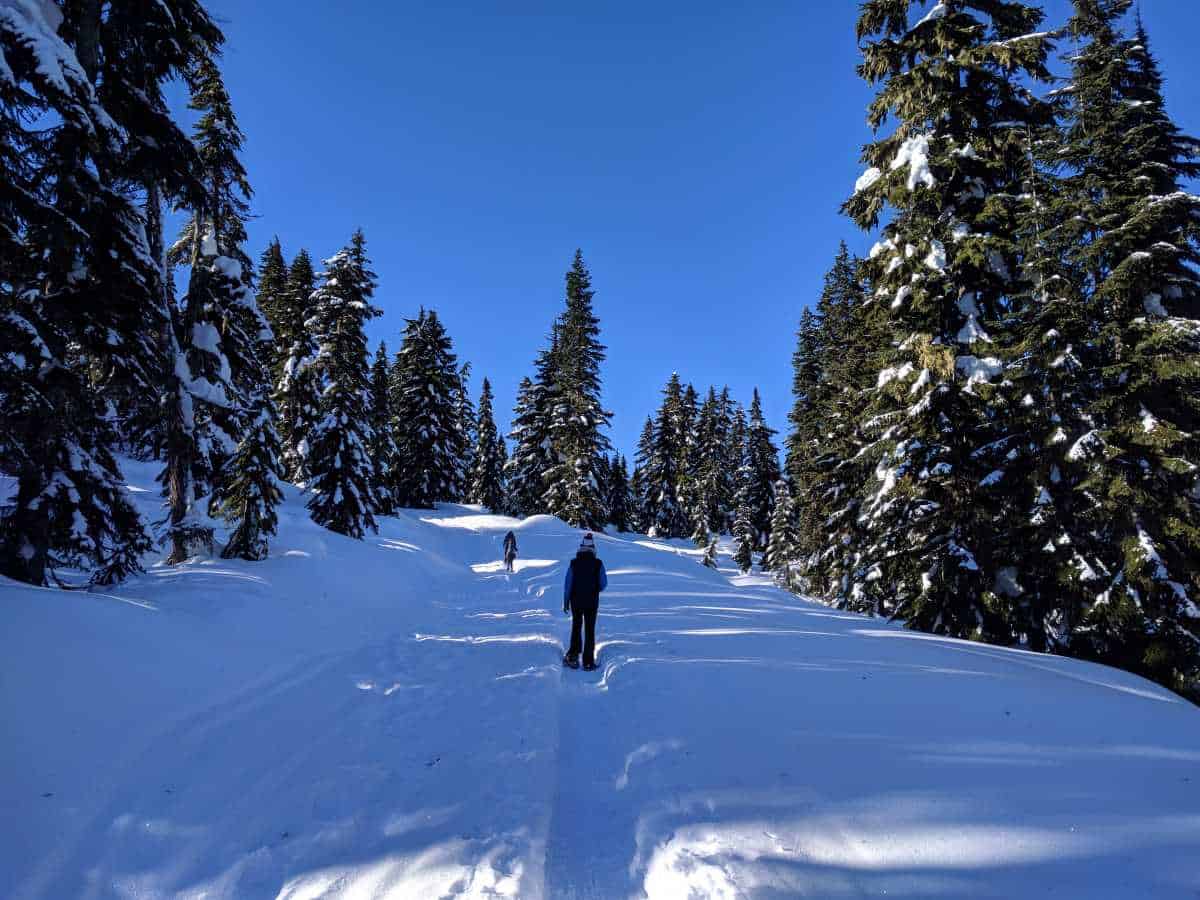 Trail
