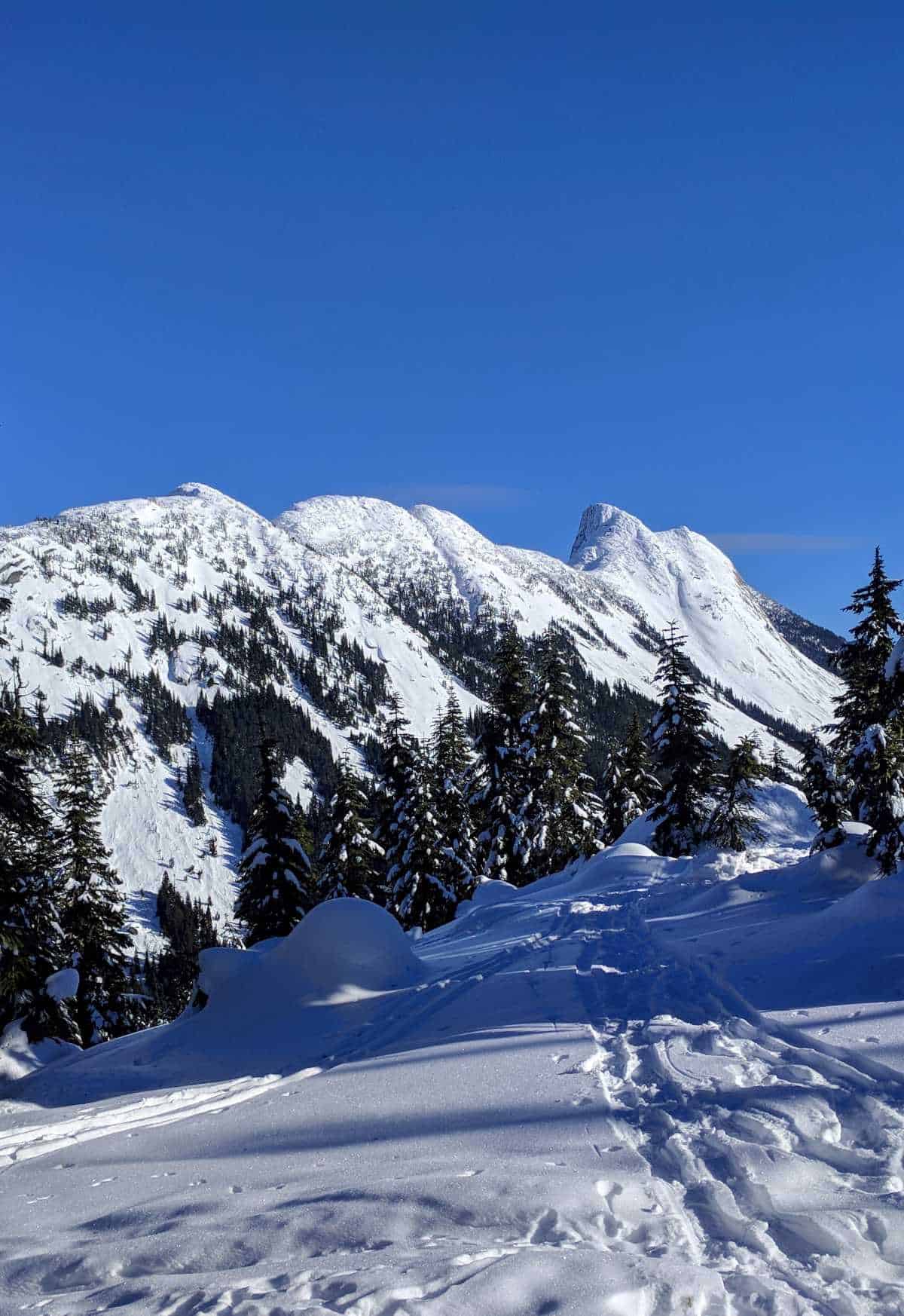 Zopkios and Yak Peaks