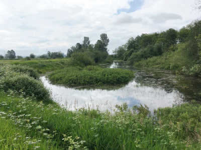 DeBoville Slough Wetlands